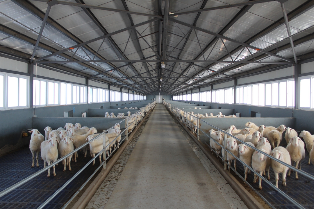 當好產(chǎn)業(yè)扶貧主力軍，打贏脫貧攻堅戰(zhàn)